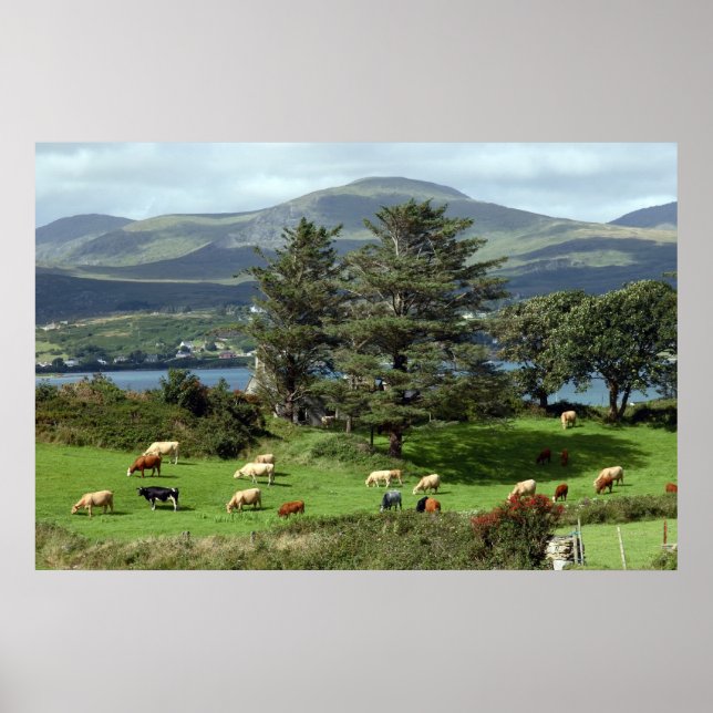 Wiesenposter Poster (Vorne)