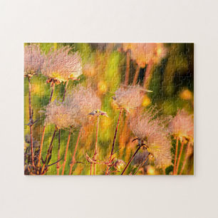 Wiesenrauch-Wildblumen im Espenhain