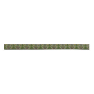Wiesensamen Ripsband