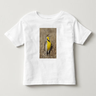 Wiesenstärling (Sturnella neglecta) Kleinkind T-shirt