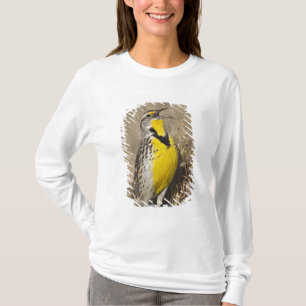 Wiesenstärling (Sturnella neglecta) T-Shirt
