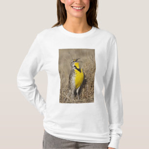 Wiesenstärling (Sturnella neglecta) T-Shirt