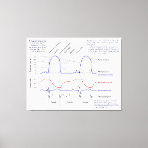 Wiggers-Diagramm Leinwanddruck