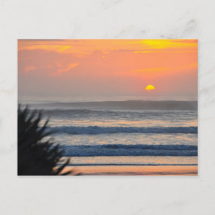 Wilbur by the Sea Palm Sunrise Florida Carte posta