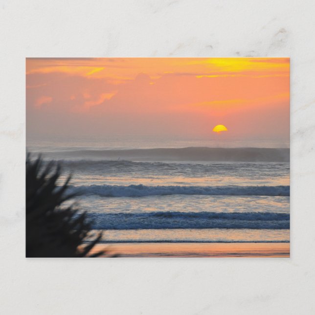 Wilbur by the Sea Palm Sunrise Florida Carte posta (Devant)