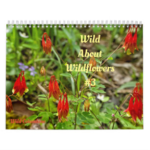 Wild-Abourt-Wildblumen #3-Kalender Kalender