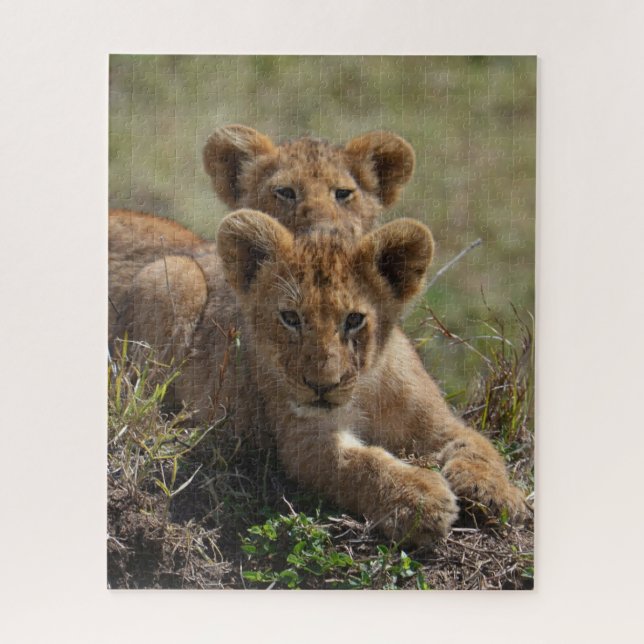 Wild African Lion Cubs (Vertikal)