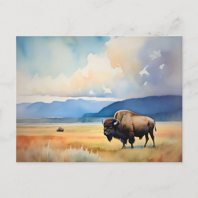 Wild auf der Wiese Postkarte (Vorderseite)