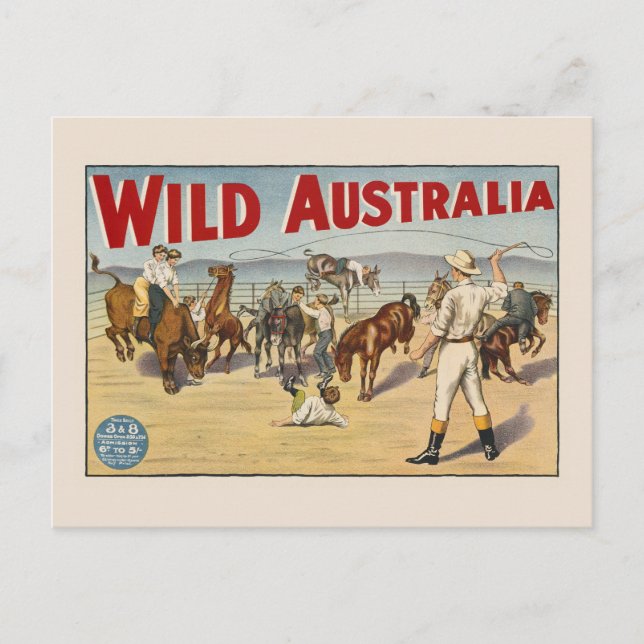 Wild Australia Vintage Poster 1910 Postkarte (Vorderseite)