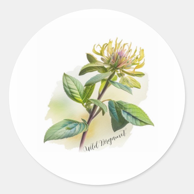 Wild Bergamot Runder Aufkleber (Vorderseite)