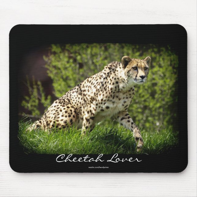 Wild Big Cats Tierliebhaber Design Mousepad (Vorne)