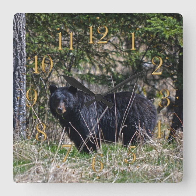 Wild Black Bear & Forest Wildlife Photo Wall Clock Quadratische Wanduhr (Vorderseite)