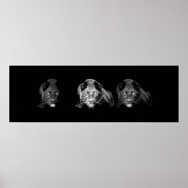 Wild Black Jaguar Cat Eyes Poster (Vorne)