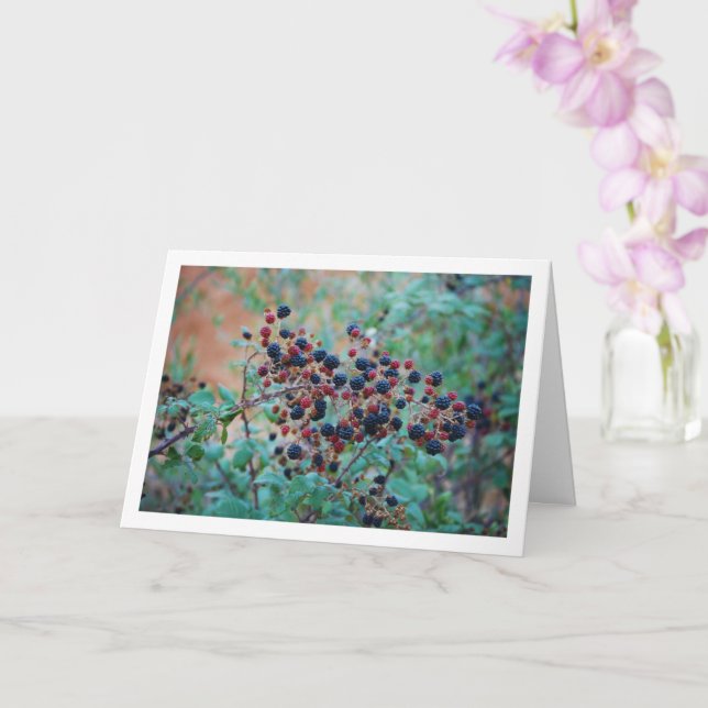 Wild BlackBerry Fruit Karte (Orchidee)