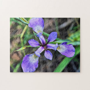 Wild Blue Iris großes Foto Puzzle