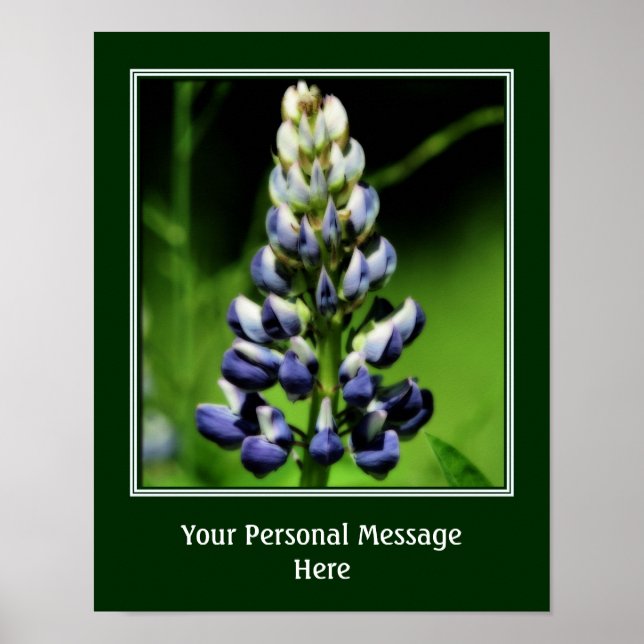 Wild Blue Lupine Blume Personalisiert Poster (Vorne)