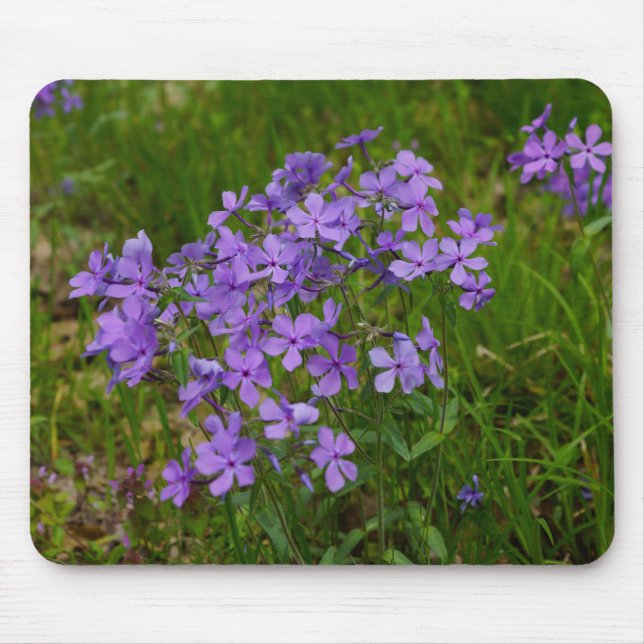 Wild Blue Phlox Mousepad (Vorne)