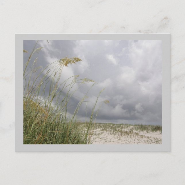 WIld Blue Yonder Postkarte (Vorderseite)