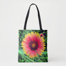 Wild Blume Child
