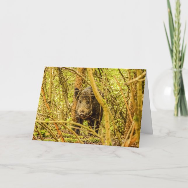 Wild Boar Karte (Vorderseite)