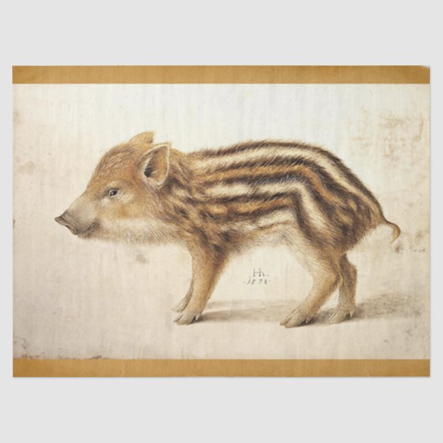 WILD BOAR PIGLET Antikes Zeichnend Tierparkett Seidenpapier (Vorderseite)