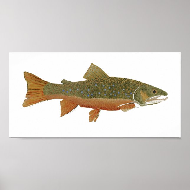 Wild Brook Trout Poster (Vorne)