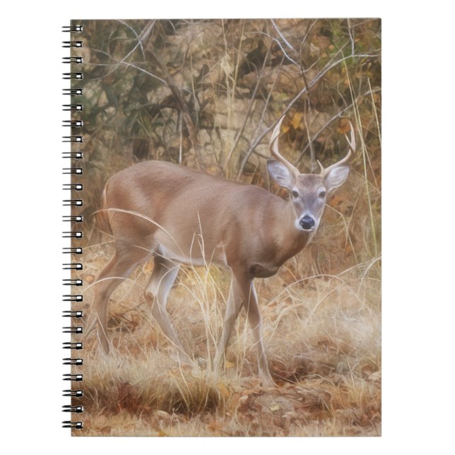 Wild Buck Deer in einem Fall-Meadow-Journal-Notebo Notizblock (Vorderseite)