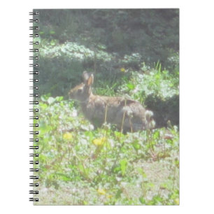 Wild Bunny Notebook Notizblock