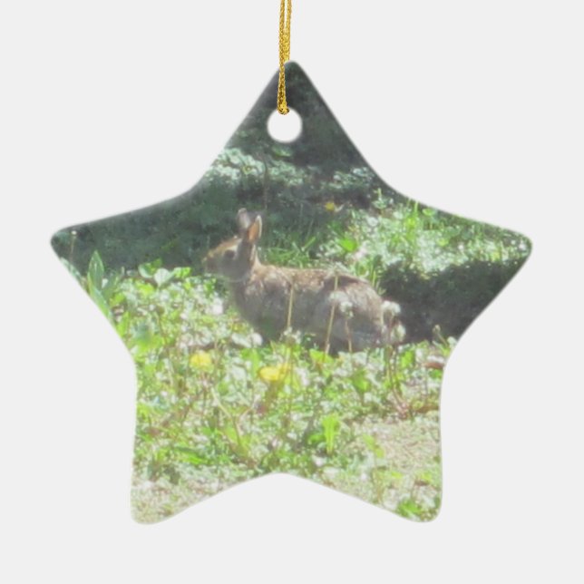 Wild Bunny Ornament (Vorne)