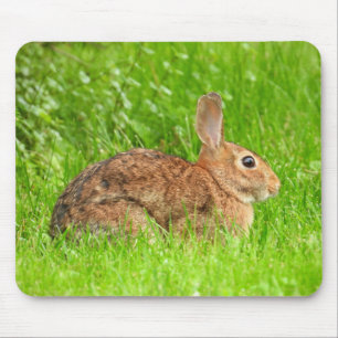 Wild Bunny Rabbit Mousepad