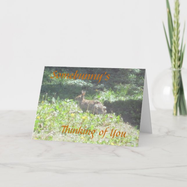 Wild Bunny "Somebunny's Thinking Of You" Card Karte (Vorderseite)