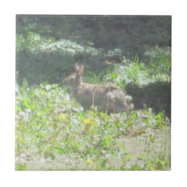 Wild Bunny Tile Fliese (Vorderseite)