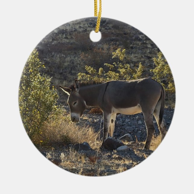 Wild Burro bei Oatman, Arizona Keramik Ornament (Vorne)