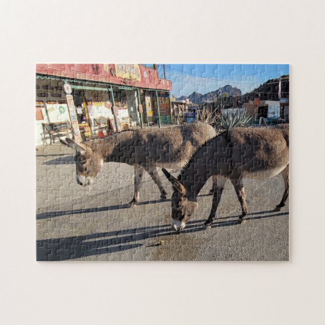 Wild Burros in Oatman, Arizona (Horizontal)