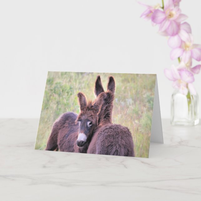 Wild Burros of the West Karte (Orchidee)