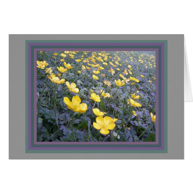 Wild Buttercups Card (Vorderseite (Horizontal))