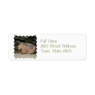 Wild Capybara Mailing Labels
