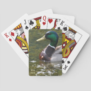 Wild Card Spielkarten