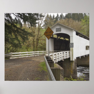 Wild Cat gedeckte Brücke, Lane County, Oregon Poster