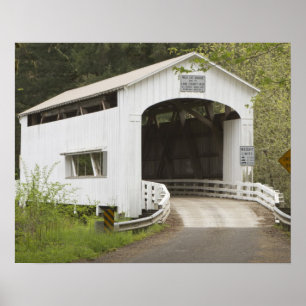 Wild Cat gedeckte Brücke, Lane County, Oregon Poster