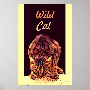 WILD CAT KITTEN POSTER