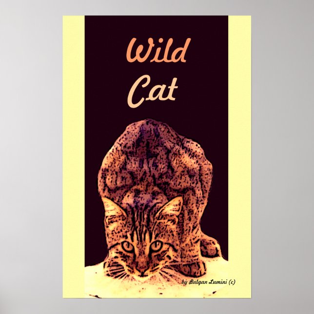 WILD CAT KITTEN POSTER (Vorne)