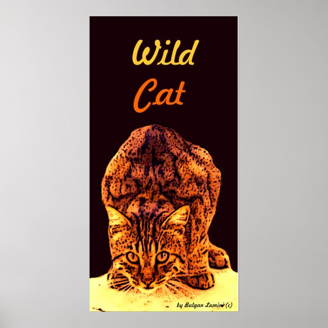 WILD CAT KITTEN POSTER (Vorne)