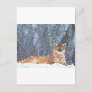 WILD CAT POSTKARTE