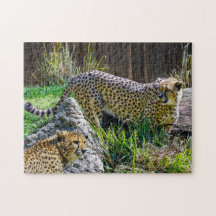 Wild Cheetah Toy Jigsaw Puzzle