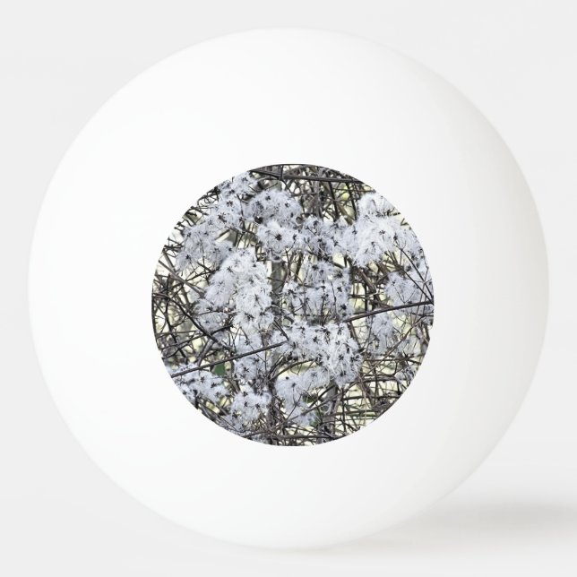 WILD CLEMATIS TISCHTENNISBALL (Vorderseite)