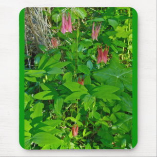 Wild Columbine Mousepad