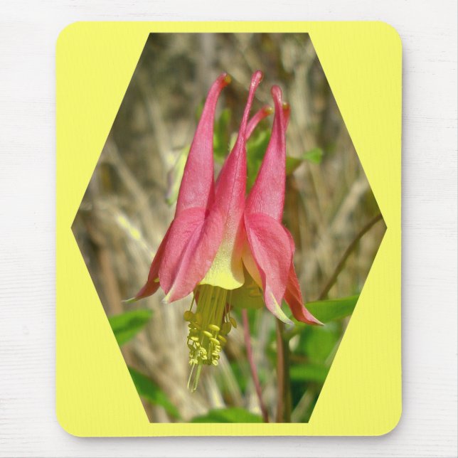 Wild Columbine Mousepad (Vorne)