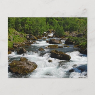 Wild Creek Postcard Postkarte