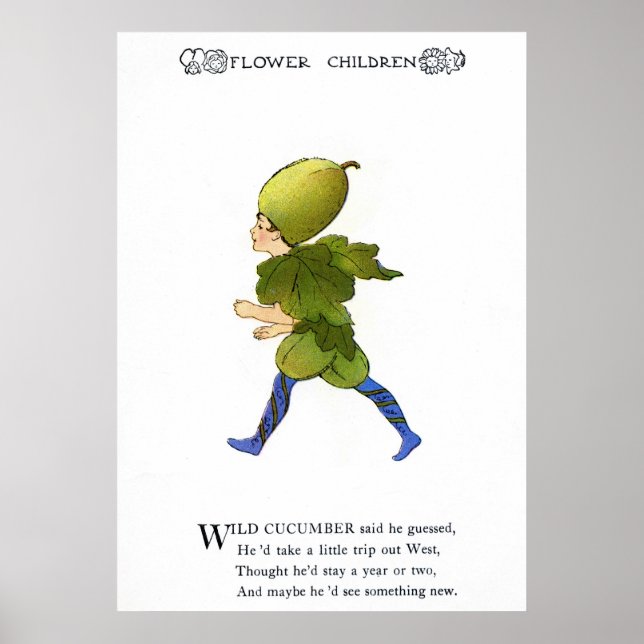 Wild Cucumber Poster (Vorne)